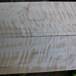 Banded flamed maple from the alps