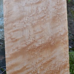 Birds Eye Maple. The pattern of "eyes" is thought to be caused by a virus.
