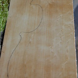 Pine with Hazel